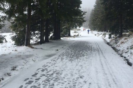 Karlův běh České spořitelny byl přeložen na 12.–13. 3. 2016