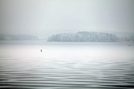 Lipno Ice Marathon startuje za dva týdny. Zamrzlé Lipno čeká na závodníky