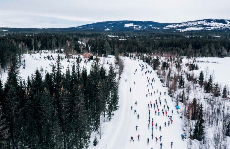 Nový zákaz může Birken a další závody stát miliony